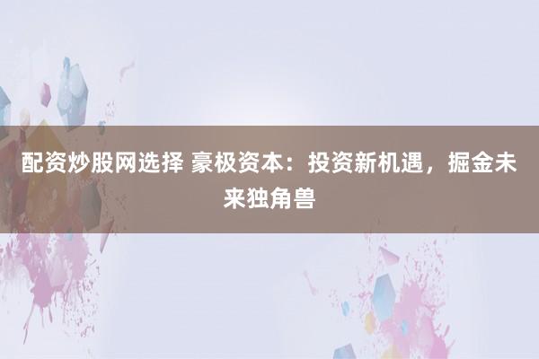 配资炒股网选择 豪极资本：投资新机遇，掘金未来独角兽
