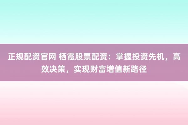 正规配资官网 栖霞股票配资：掌握投资先机，高效决策，实现财富增值新路径