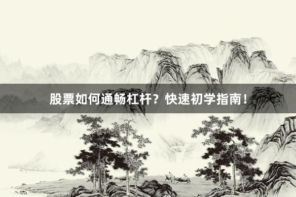 股票如何通畅杠杆？快速初学指南！