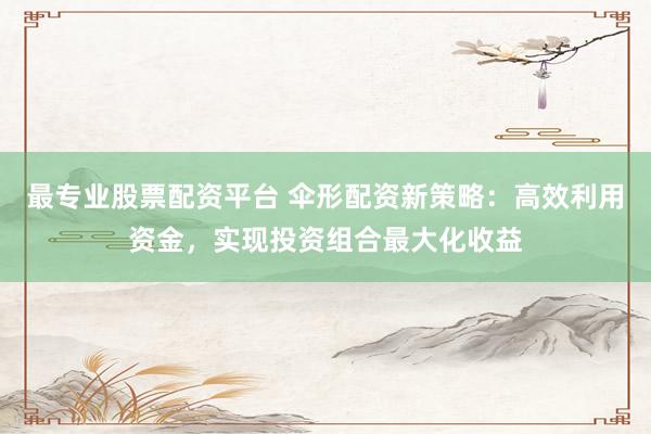 最专业股票配资平台 伞形配资新策略：高效利用资金，实现投资组合最大化收益