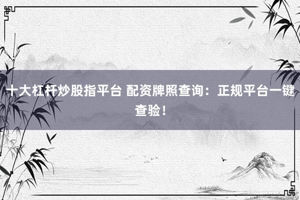 十大杠杆炒股指平台 配资牌照查询：正规平台一键查验！