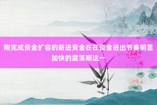 刚完成资金扩容的新进资金在在资金进出节奏明显加快的震荡期这一