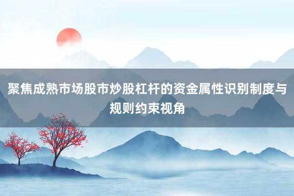 聚焦成熟市场股市炒股杠杆的资金属性识别制度与规则约束视角