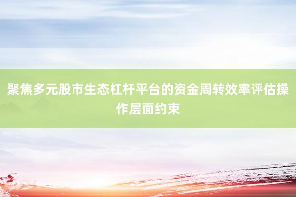 聚焦多元股市生态杠杆平台的资金周转效率评估操作层面约束