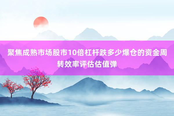 聚焦成熟市场股市10倍杠杆跌多少爆仓的资金周转效率评估估值弹