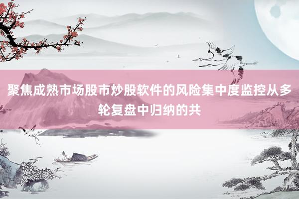 聚焦成熟市场股市炒股软件的风险集中度监控从多轮复盘中归纳的共