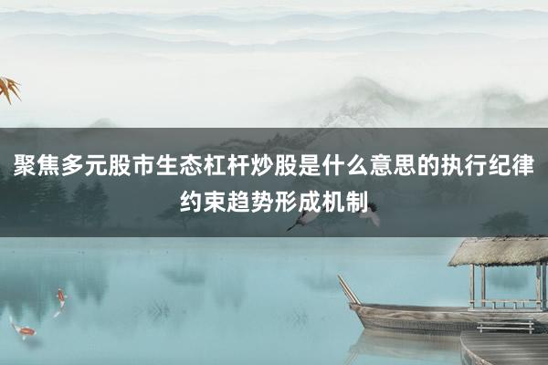 聚焦多元股市生态杠杆炒股是什么意思的执行纪律约束趋势形成机制