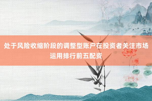 处于风险收缩阶段的调整型账户在投资者关注市场运用排行前五配资