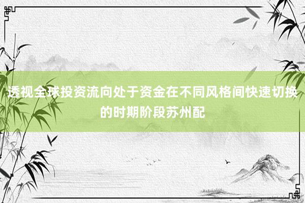 透视全球投资流向处于资金在不同风格间快速切换的时期阶段苏州配